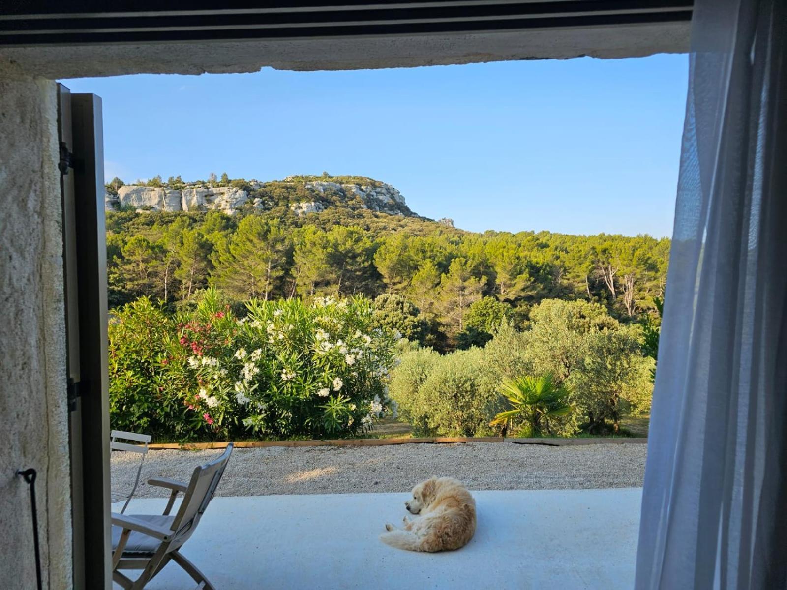 Mas De La Fadeto Bed & Breakfast Les Baux-de-Provence Exterior photo