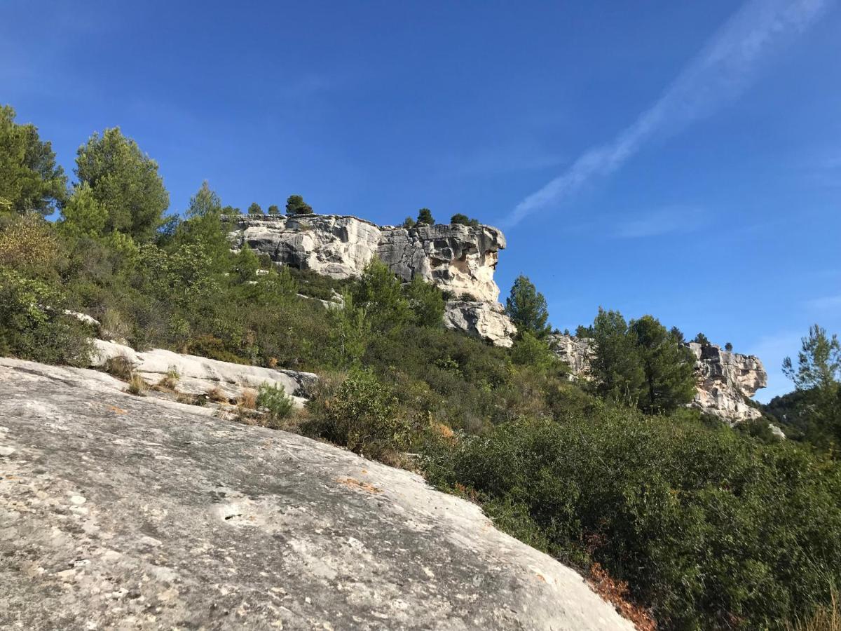 Mas De La Fadeto Bed & Breakfast Les Baux-de-Provence Exterior photo